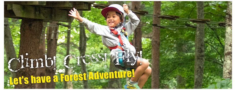 Let's go have a Forest Adventure!