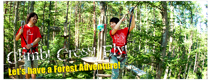 Let's go have a Forest Adventure!