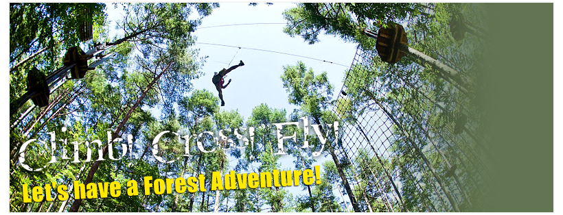 Tree Top Parks In Harmony With Nature Forest Adventure