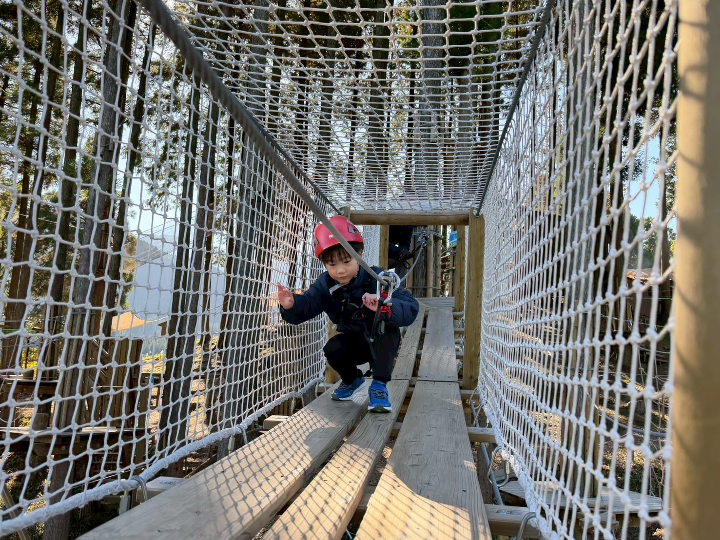 フォレストアドベンチャー・美里のキャノピーコース　紹介