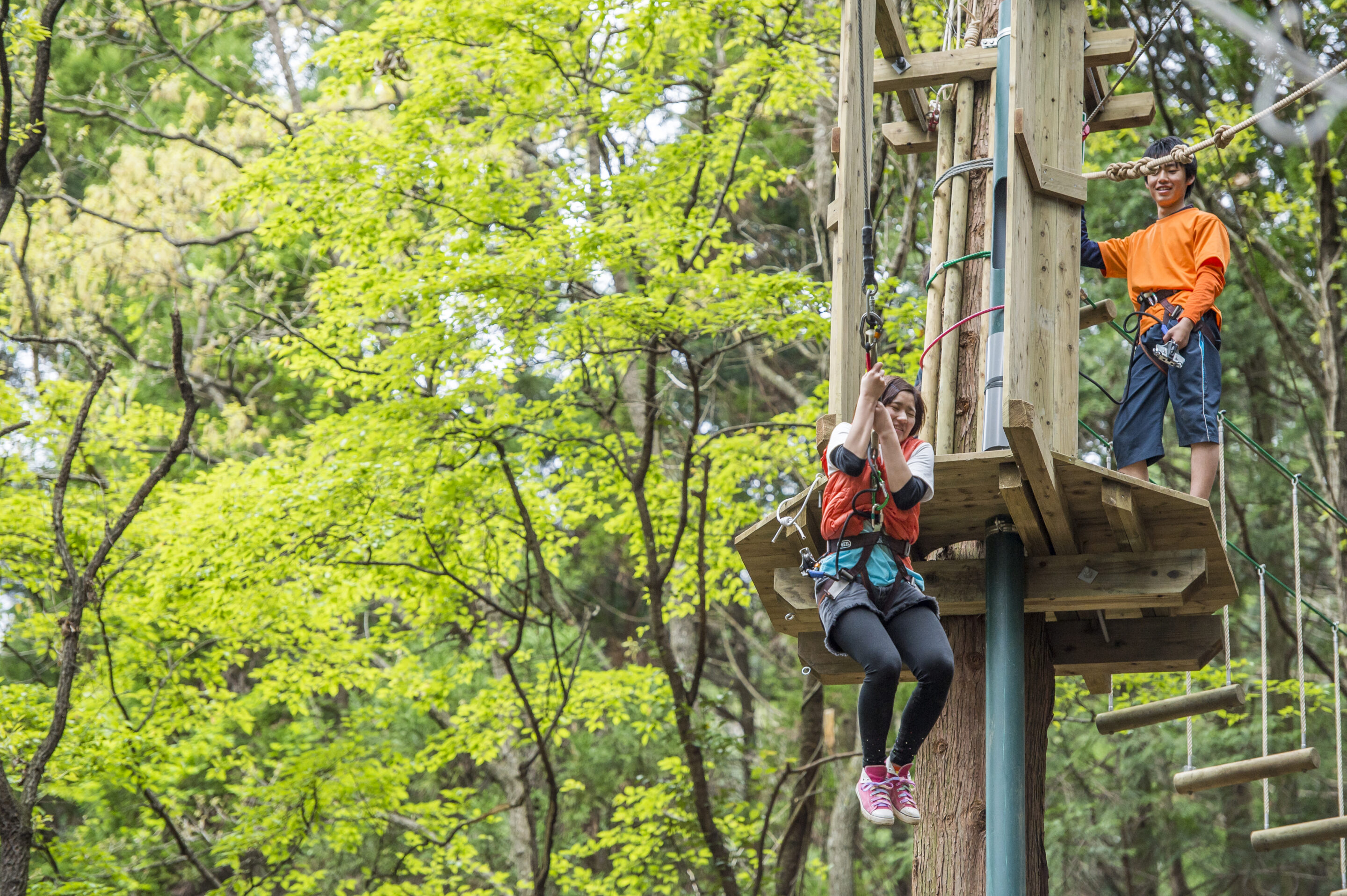 フォレストアドベンチャー・美里の【GW特別プラン】紹介