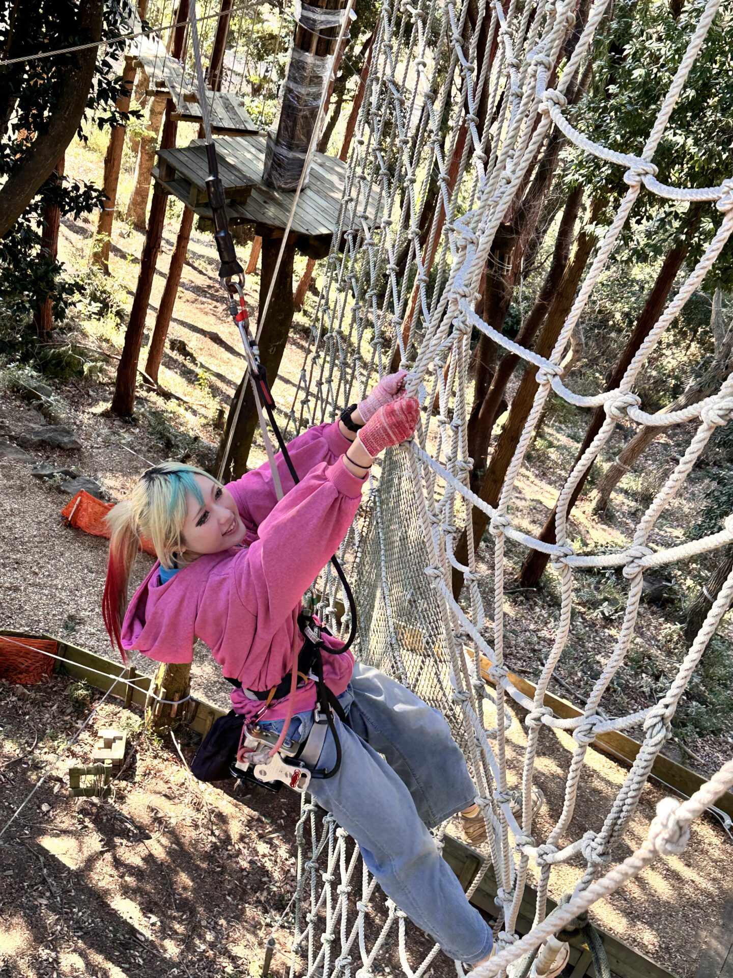 フォレストアドベンチャー・つくばのエキサイトコース紹介