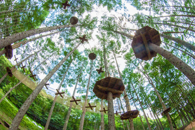 フォレストアドベンチャー・蓼科のアドベンチャーコース紹介