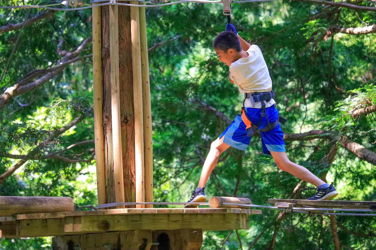 フォレストアドベンチャー・蓼科のキャノピーコース紹介