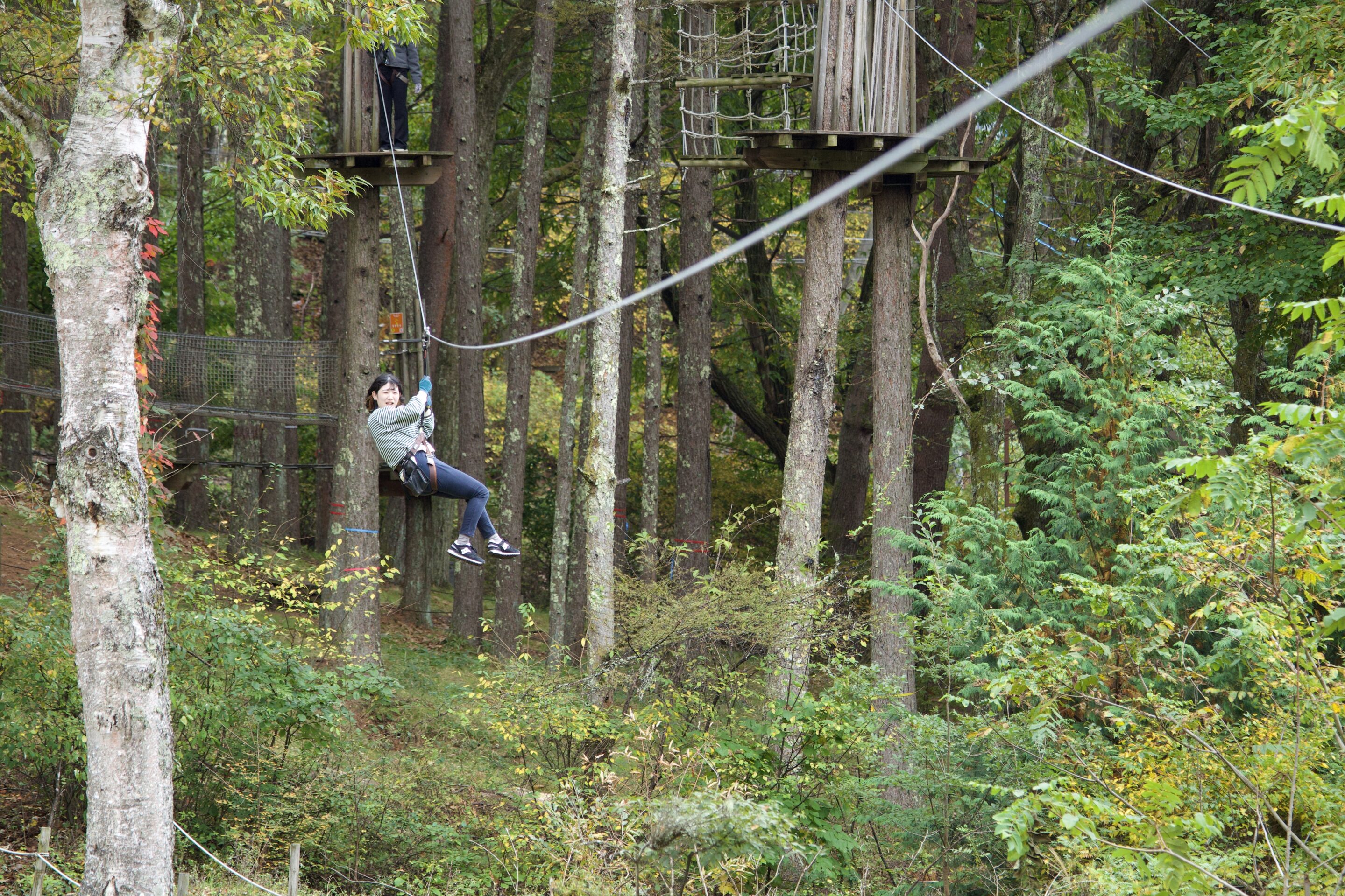 フォレストアドベンチャー・蓼科のアドベンチャーコース紹介