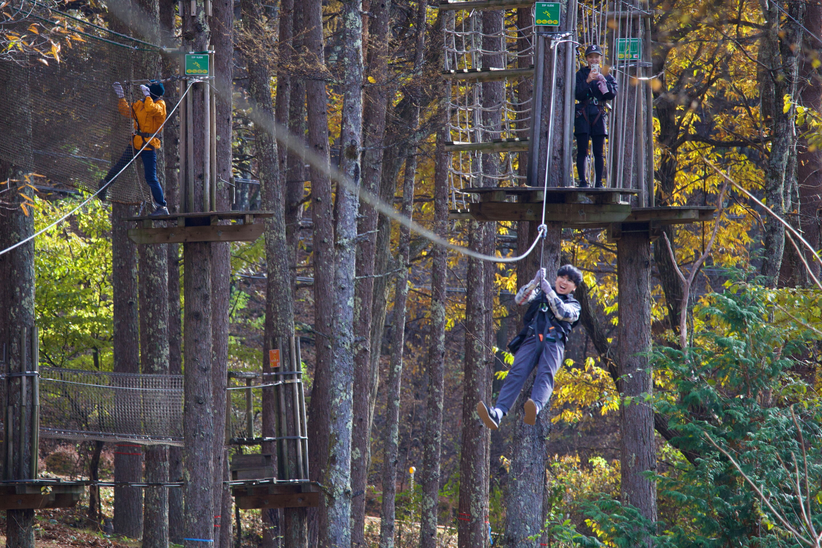 フォレストアドベンチャー・蓼科のアドベンチャーコース紹介