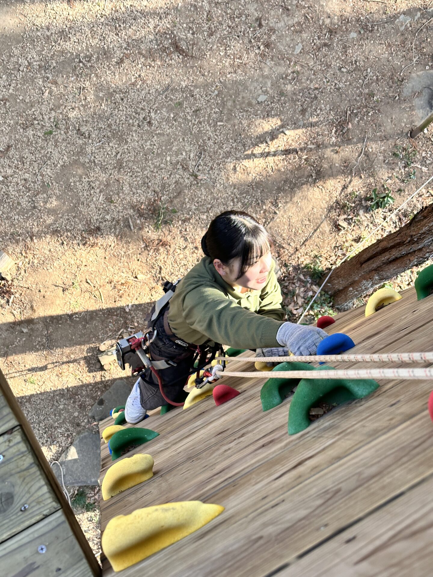 フォレストアドベンチャー・つくばのエキサイトコース紹介