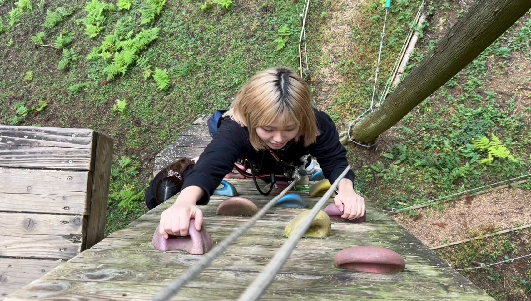 フォレストアドベンチャー・美里のアドベンチャーコース紹介