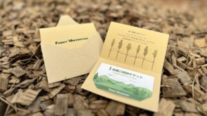 フォレストアドベンチャーin恩納のギフトバウチャー紹介