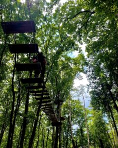 フォレストアドベンチャー・秩父のトレックコース紹介