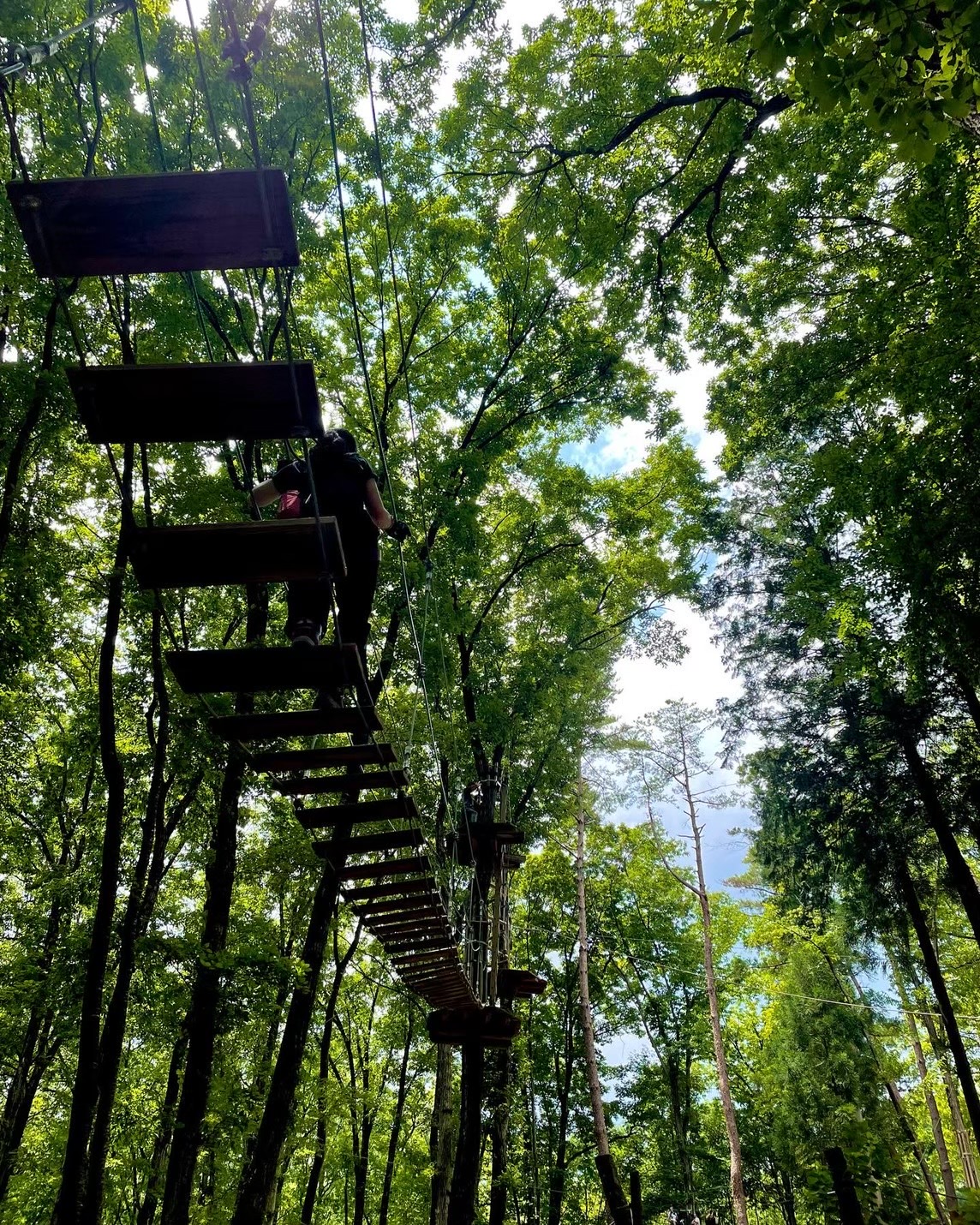 フォレストアドベンチャー・秩父のトレックコース紹介