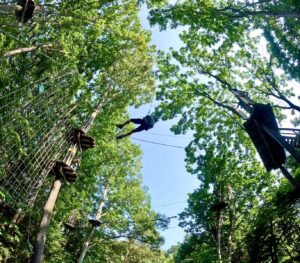 フォレストアドベンチャー・秩父のトレックコース紹介