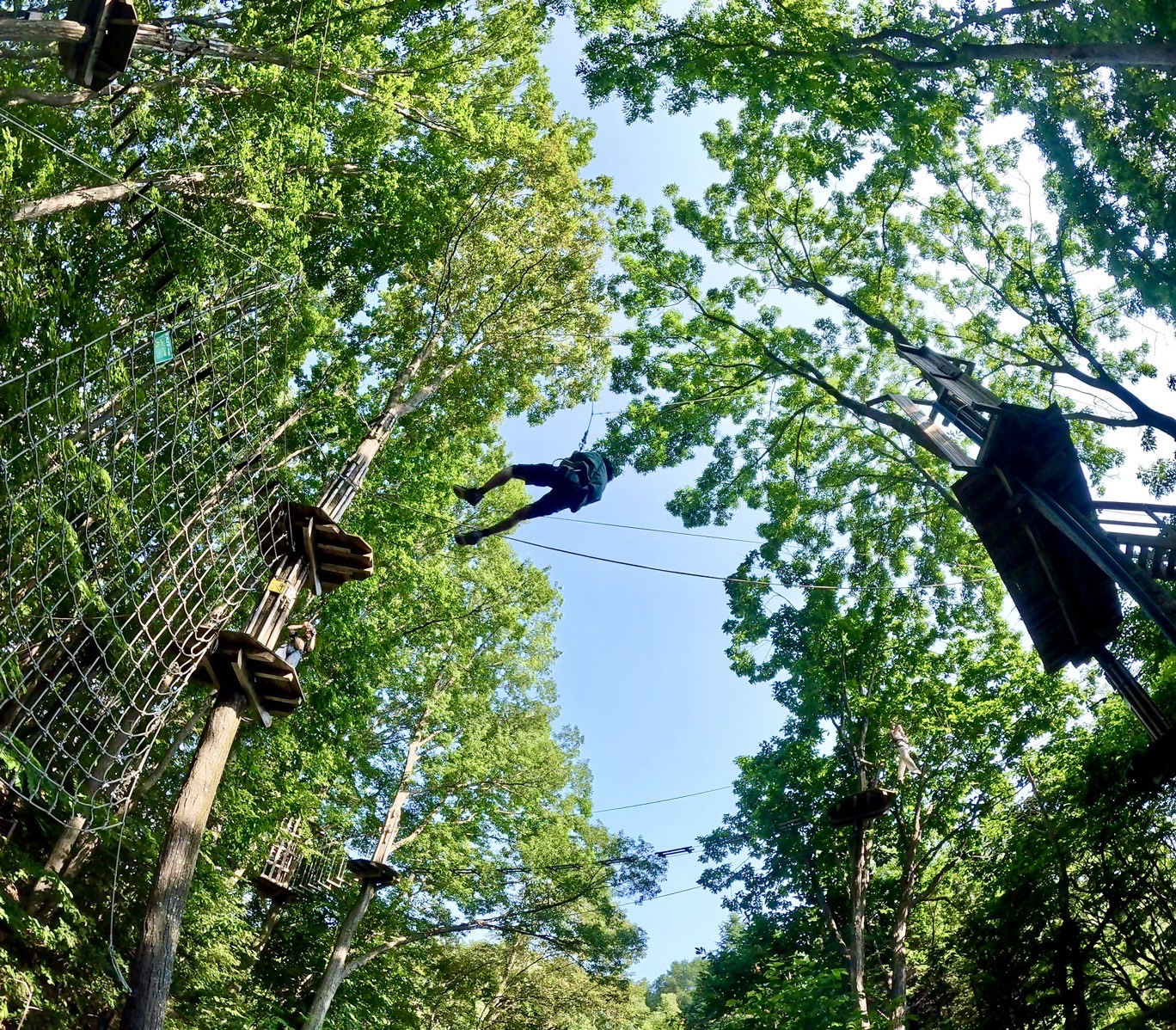 フォレストアドベンチャー・秩父のトレックコース紹介