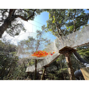 フォレストアドベンチャー・油山福岡のネットコース紹介