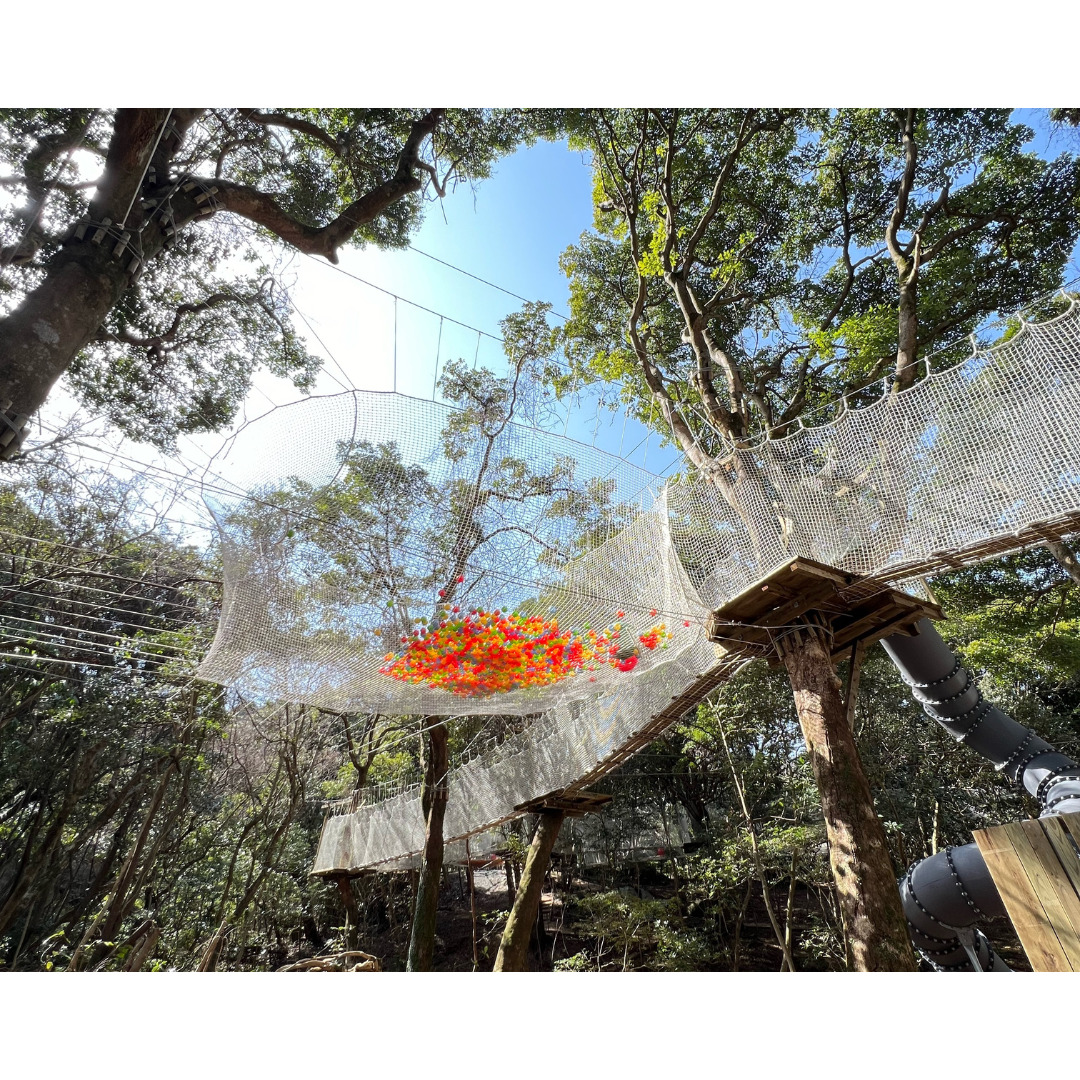 フォレストアドベンチャー・油山福岡のネットコース紹介