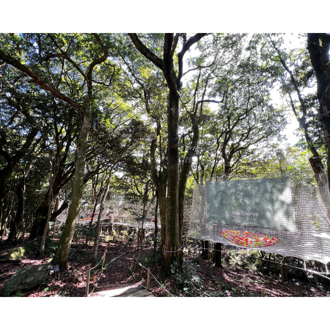 フォレストアドベンチャー・油山福岡のネットコース紹介