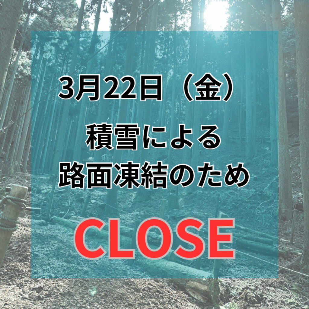 3月22日(金)　close