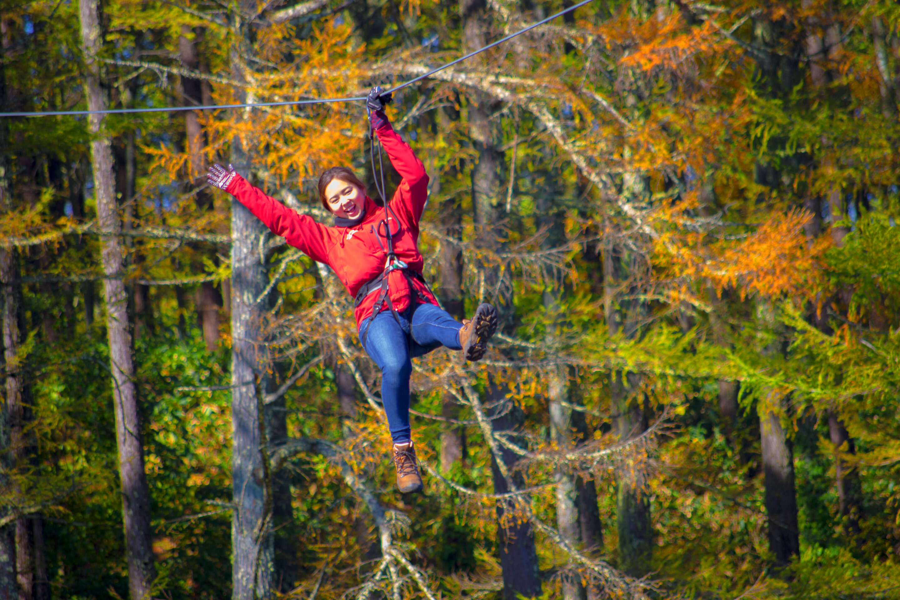 フォレストアドベンチャー・龍ケ崎のトレックコース　TREK Course紹介