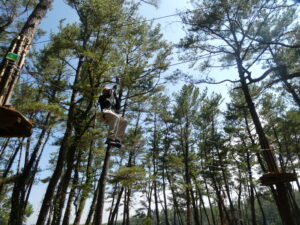 フォレストアドベンチャー・吹上浜のトレックコース紹介