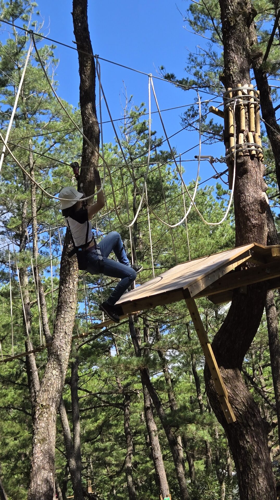 フォレストアドベンチャー・吹上浜のトレックコース紹介